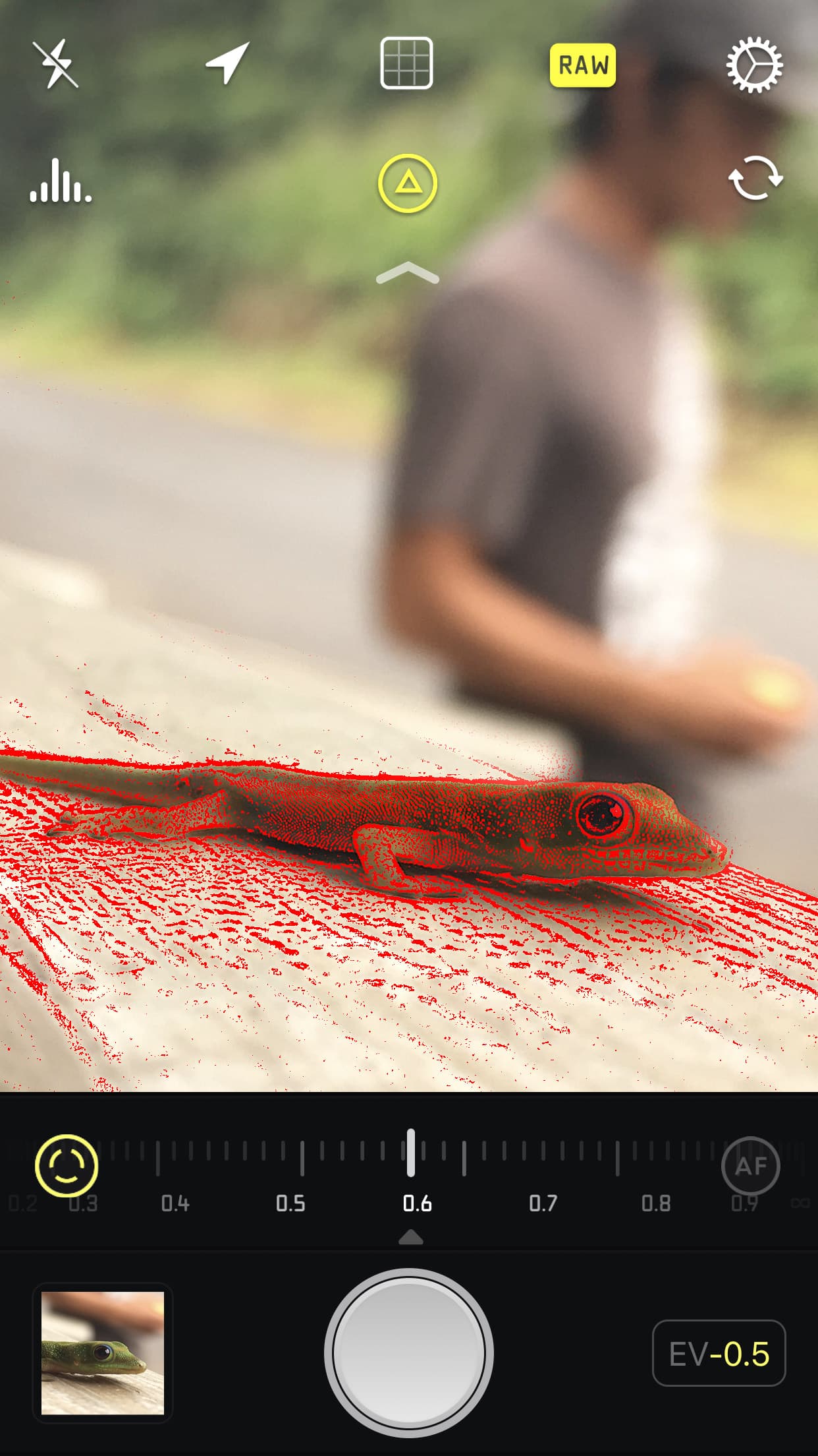 Screenshot of Halide