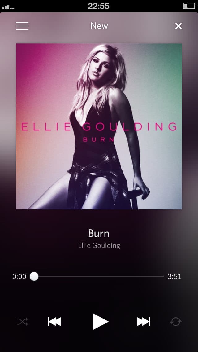 Screenshot of Rdio
