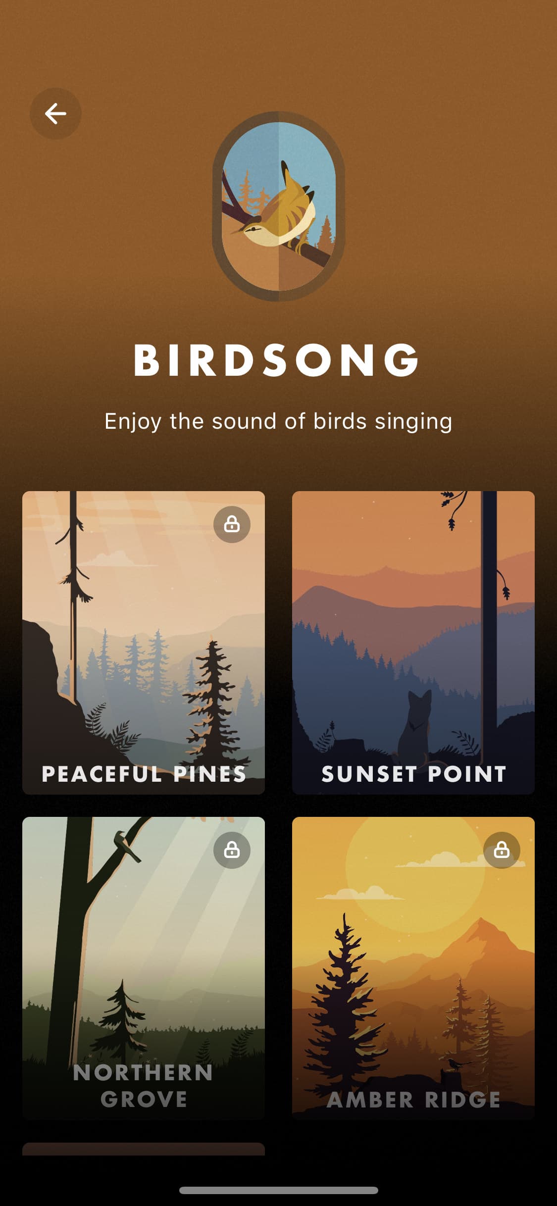 Screenshot of Wild Journey